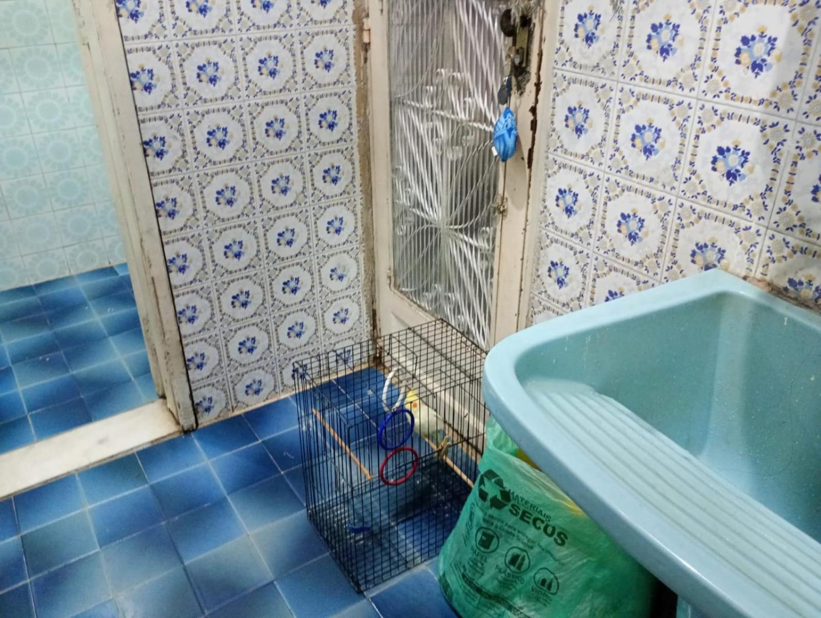 Da Vovo Com 3 Quartos 9 Pessoas *